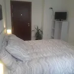 +++Habitacion Y Bano Privado Entrada Independiente